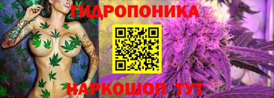 гашик Апрелевка