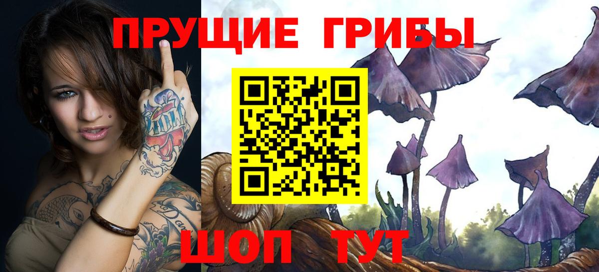 Псилоцибиновые грибы Psilocybine cubensis Борисоглебск